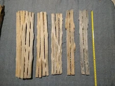 Saguaro Cactus Skeletons 2 1/2 ft Western Art Nature Desert Arizona