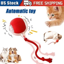 Share Similar Items Sponsored See all Cat Dog Toy Game Automatic Rolling Ball