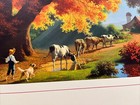 Bild 11 von 12