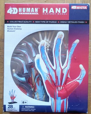 4D Human Hand Anatomy Model Puzzle von 4D Master 28 Teile