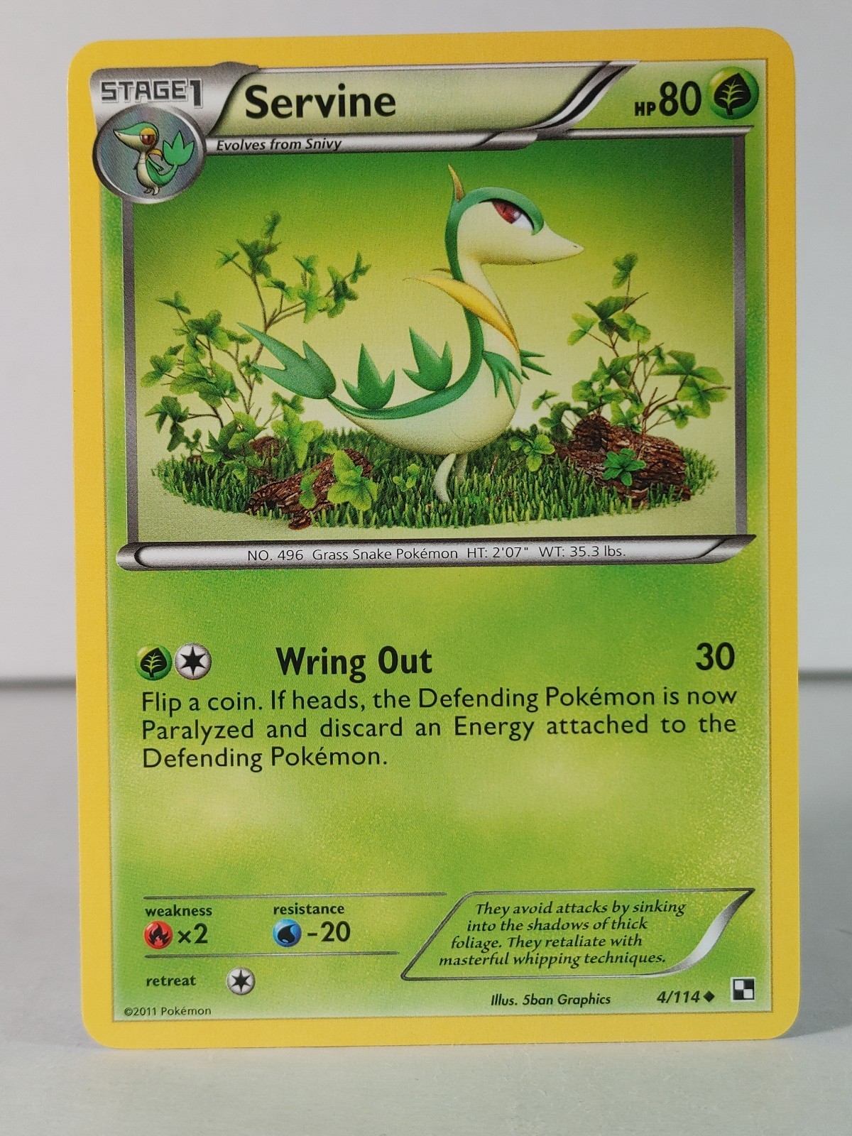 Servine - Black & White base set #4 - Pokemon - NM -C