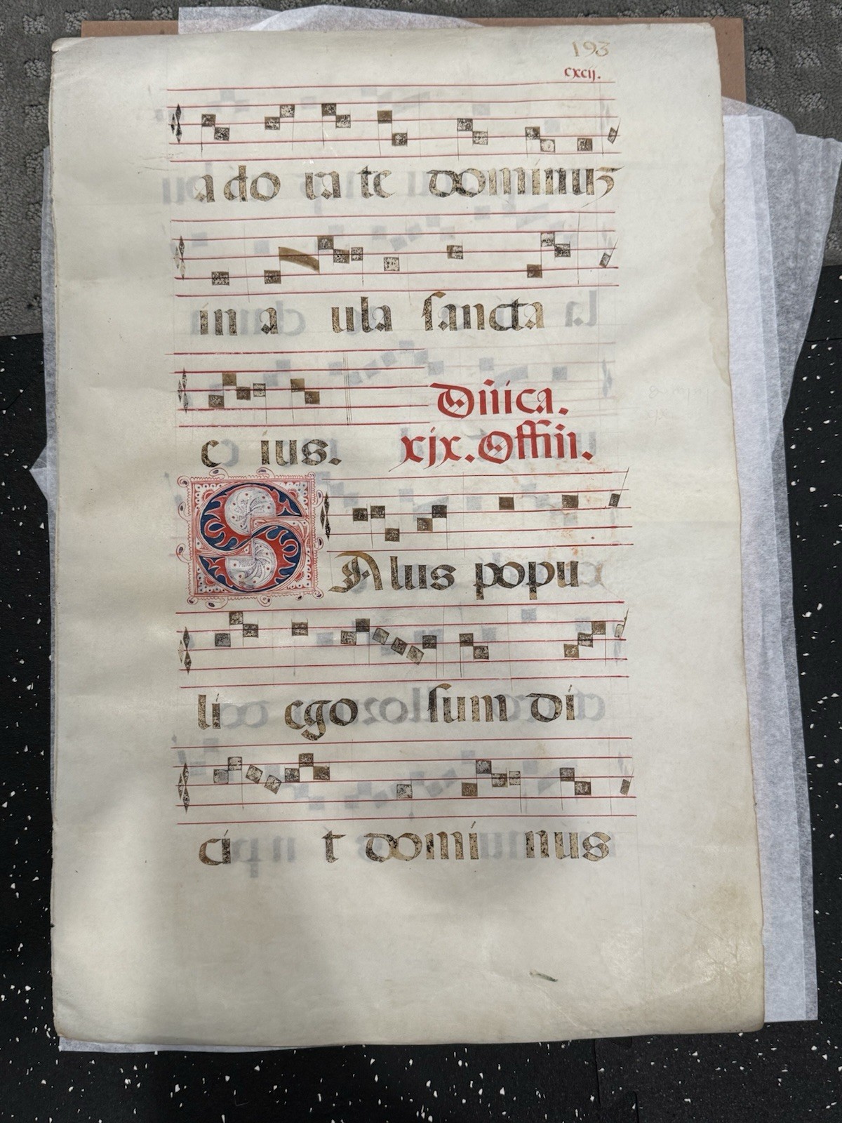 Medieval Illuminated Vellum Antiphonary Manuscript Leaf, 16th Century 15x22”