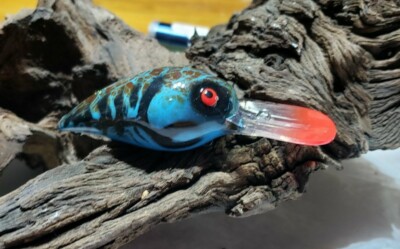 Custom painted Mag Wiggle wart crankbait (Missouri Craw 2)