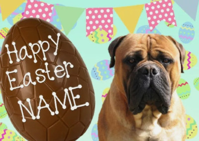 Bullmastiff Hund Frohe Ostern personalisierte Grußkarte A5 Schokoladenei EE14