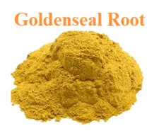 Goldenseal Root Powder (Hydrastis Canadensis) 2 oz – Healing and Health Benefits