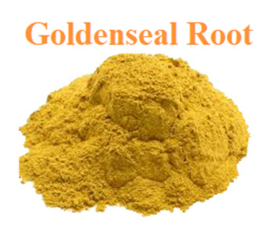 Goldenseal Root Powder (Hydrastis Canadensis) 1 oz   Healing and Health Benefits