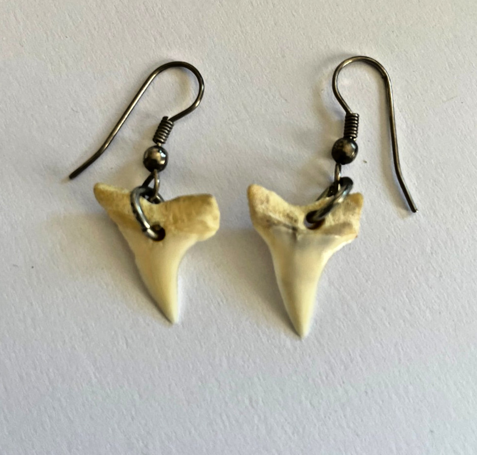 Shark Tooth Dangle Earrings - image 1