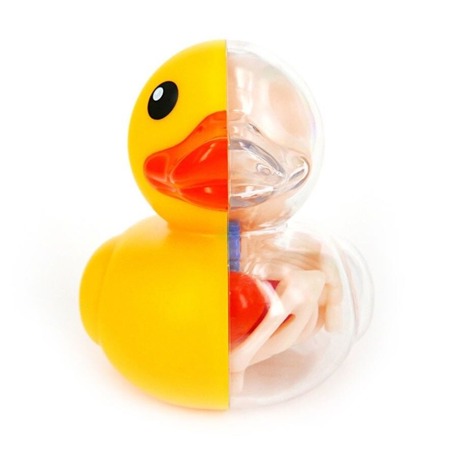 Signed Jason Freeny 4D MASTER Bathing Ducky Funny Anatomy Signed Jason Freeny 4D MASTER Bathing Ducky Funny Anatomy