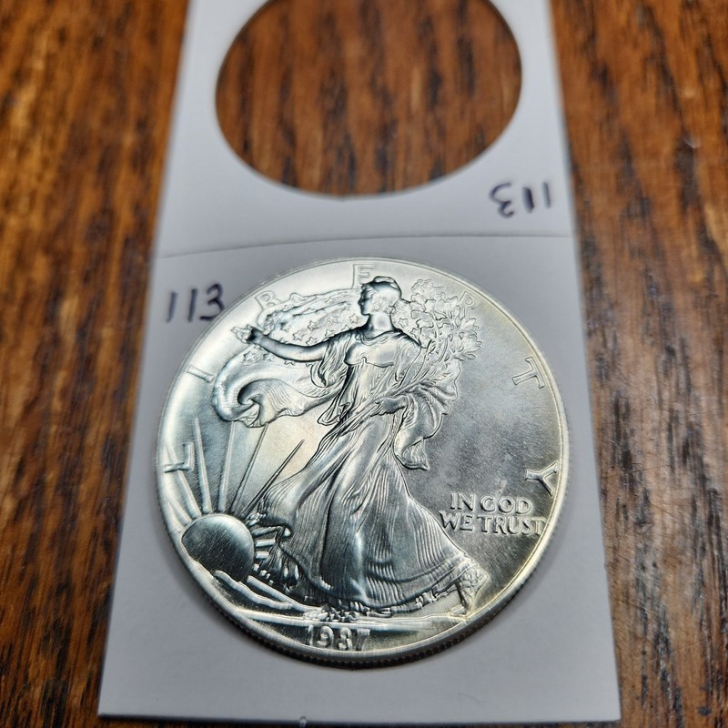 1987 American Silver Eagle Dollar #113