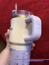 Target Stanley x Wicked  20oz FlowState Quencher Tumbler Glinda For Good IN HAND