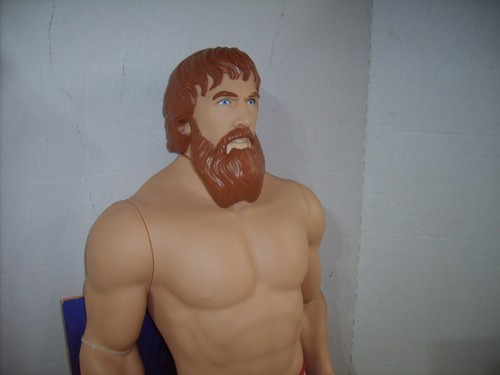 WWF WWE Daniel Bryan GIANT 31" WRESTLING FIGURE HTF NEW IN BOX KMART EXCLUSIVE - Picture 3 of 10