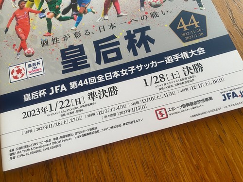 Japan Women Ladies football soccer Nadeshiko FIFA World Cup WE League 22/23 SET - Picture 11 of 19