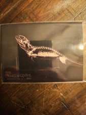 2024 Allen & Ginter Bearded Dragon X-Ray'd #XR-6