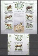 (191380) Hyena, Mozambique