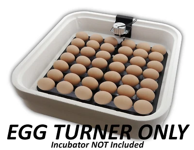 G.Q.F. MANUFACTURING COMPANY IncuTurn™ Automatic Egg Turner for HovaBator Egg Incubators Quail Chicken Goose