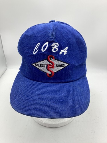 Coba Select Sires Blue Flannel Snapback Vintage USA Trucker Hat H1