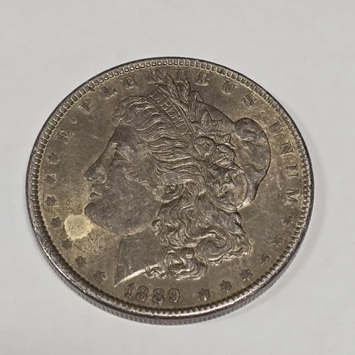 1889 Morgan Silver Dollar 90% Silver Ungraded Raw Coin PLM89