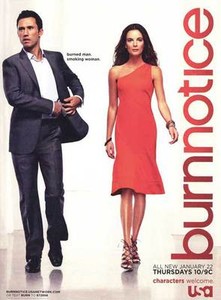 Burn Notice Tv Movie Poster 27x40 Jeffrey Donovan Gabrielle Anwar Bruce Ebay