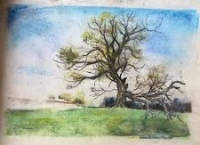 Franz Ehmke 1928-2018 GDR Painter° Pastel Tree by The Blitz Getroffen Fall Sign