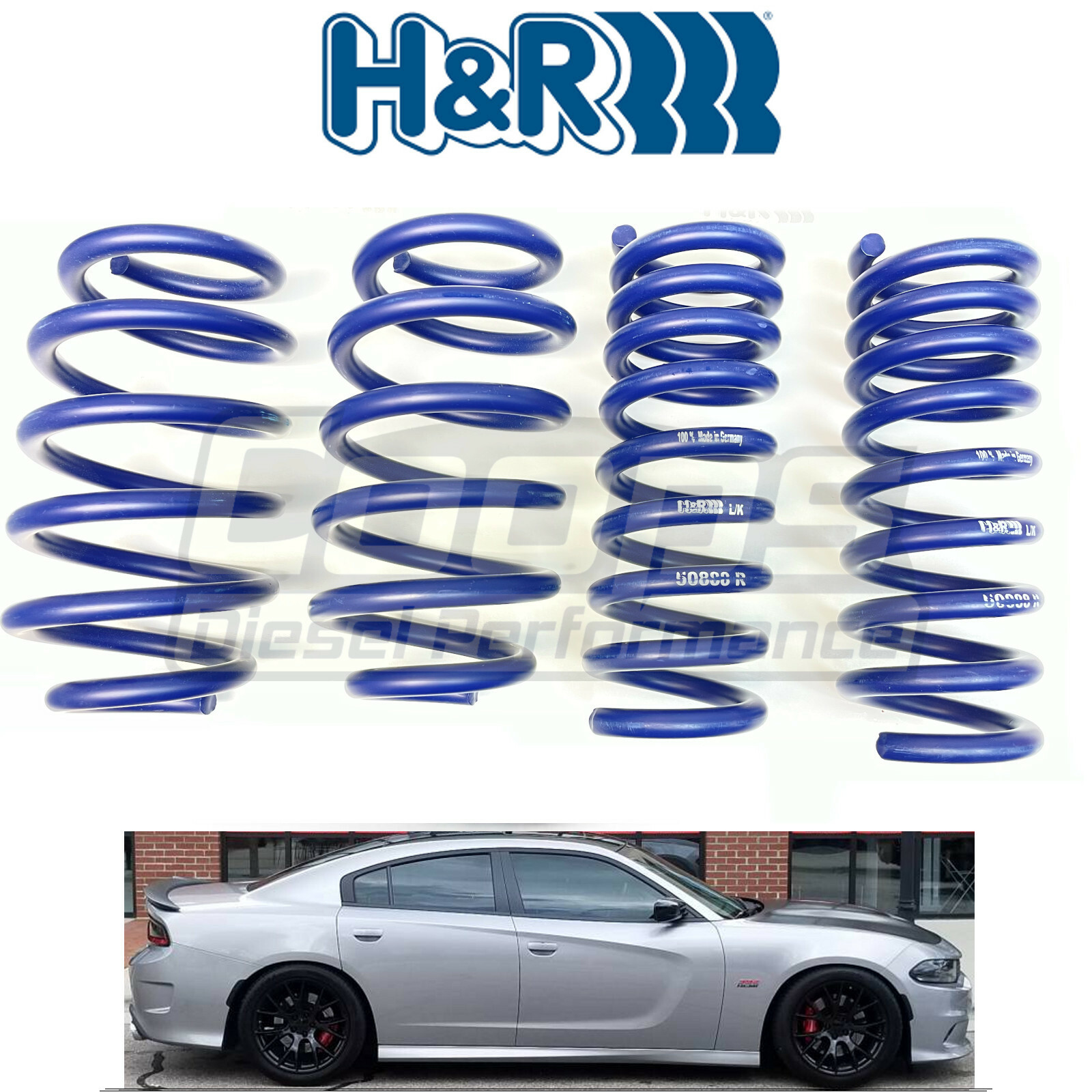 H&R Sport Lowering Springs New color For Mopar Challenger Charger Dodge RT