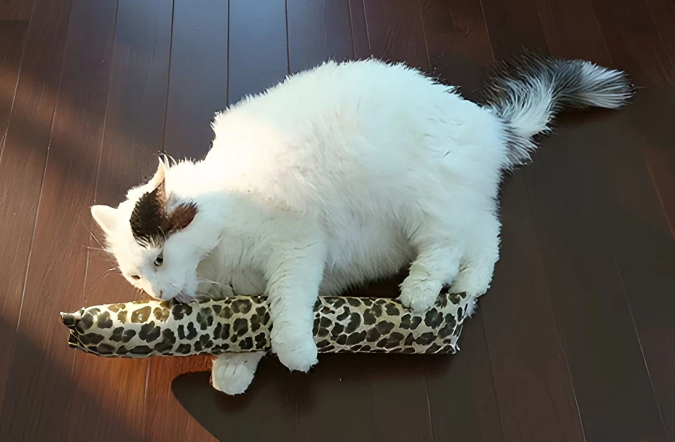 (Extra Large) 18" Catnip Cat Kicker Toy (Filled with 1 oz Canadian Catnip) - Image 2 of 4