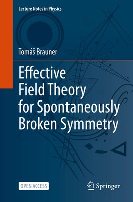 Effective Field Theory for Spontaneously Broken Symmetry | Tomá¿ Brauner | Buch