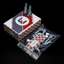 16x FE Radschrauben Radbolzen für Peugeot 106 zu Alufelgen gem. ABE (05/1996-)