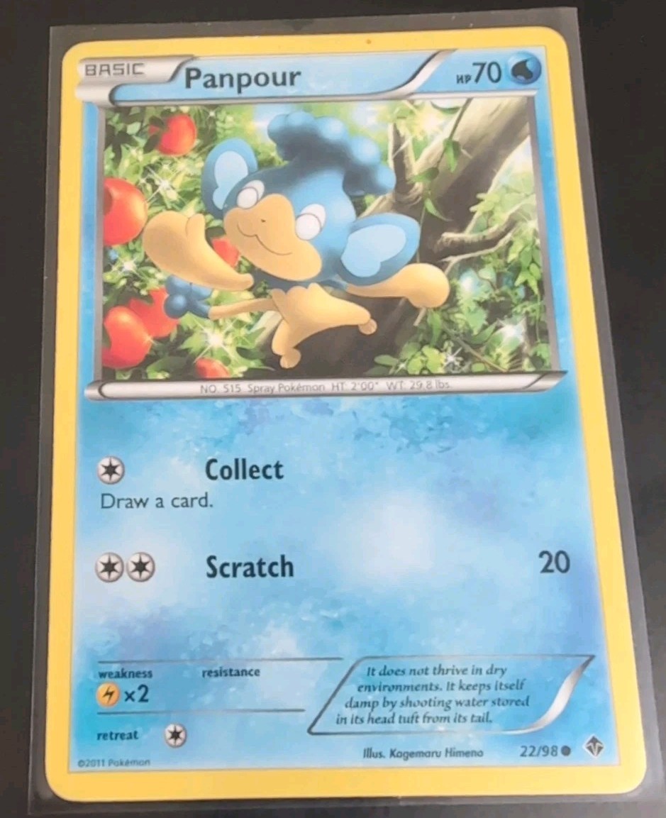 Panpour 22/98 Emerging Powers Regular