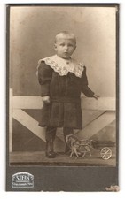 Fotografie F. Stein, Berlin, Portrait junger Knabe Wilie Siegmund im Kleid mit  