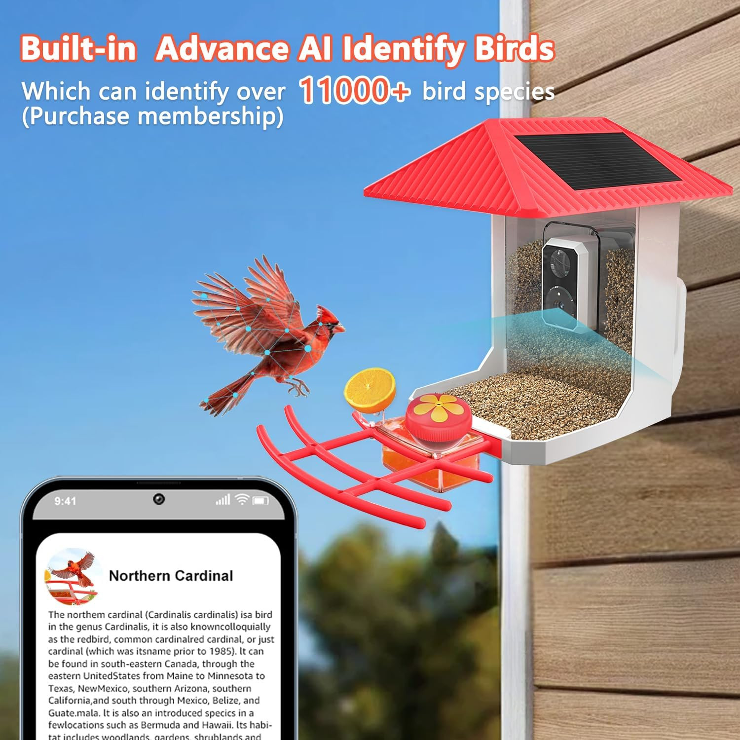 2.5K Smart Bird Feeder with Camera, 5Ghz &2.4Ghz Birds Watching Camera with AI I