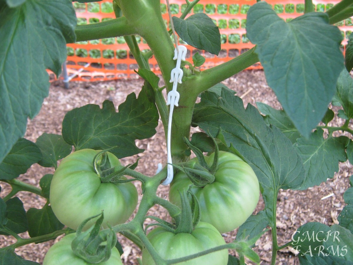Tomato trellis clip kit, J hook, tomato clips, arch support