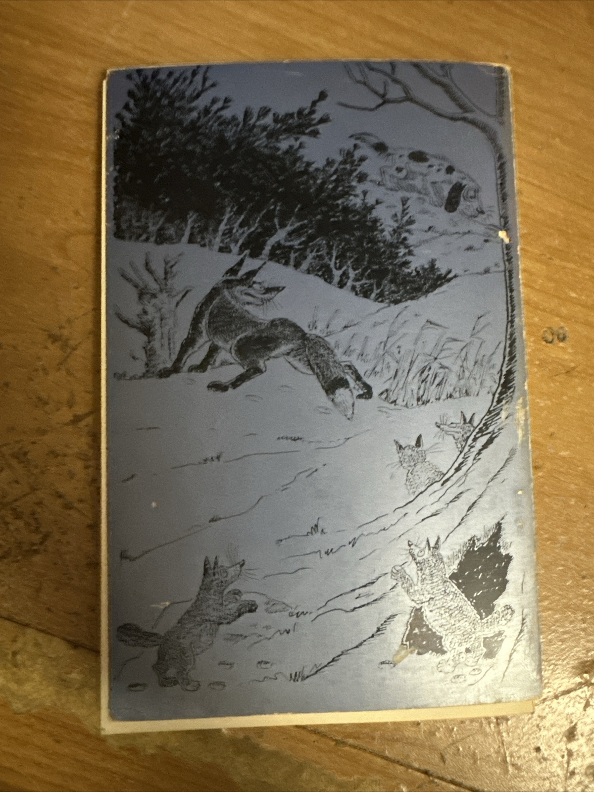 Picture 4 of 4