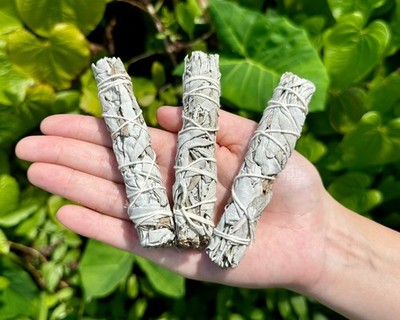 3 White Sage Smudge Sticks: Protection & Cleansing (Thin, Travel Size Stick)