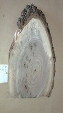 Live Edge Black Walnut Cookie Slab
