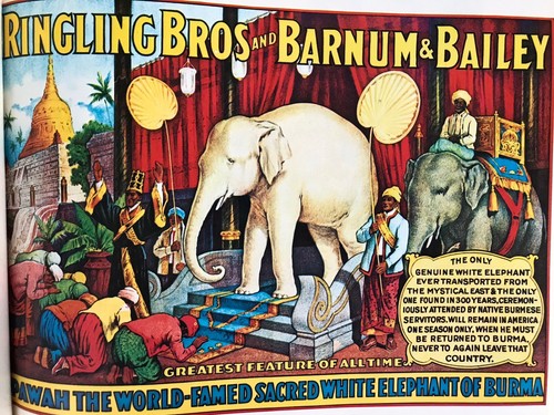 The Circus In America HC Illustrated Large 12x12 Book 1969 1st Ed Fox Parkinson - Imagen 2 de 16