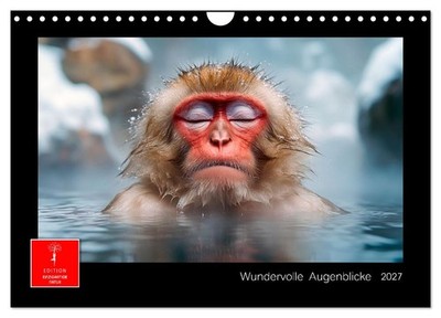 Wundervolle Augenblicke (Wandkalender 2027 DIN A4 quer), CALVENDO Monatskalender
