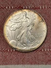 1999 American Silver Eagle - 1 Troy Oz .999 Fine Silver  Free Shipping!