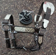 Silver Show Halter - Yearling Size - Matching Lead