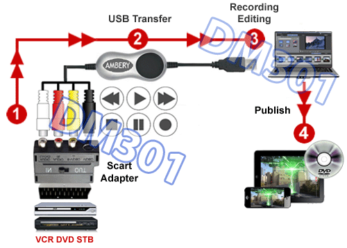 Adaptador premium de captura de fotogramas de video CVSB S-Video Scart RGB para PC - Imagen 1 de 3