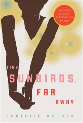 Tiny Sunbirds, Far Away (Paperback or Softback)