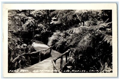 c1940's Fern Dell Griffith Park Los Angeles California CA RPPC Photo Postcard