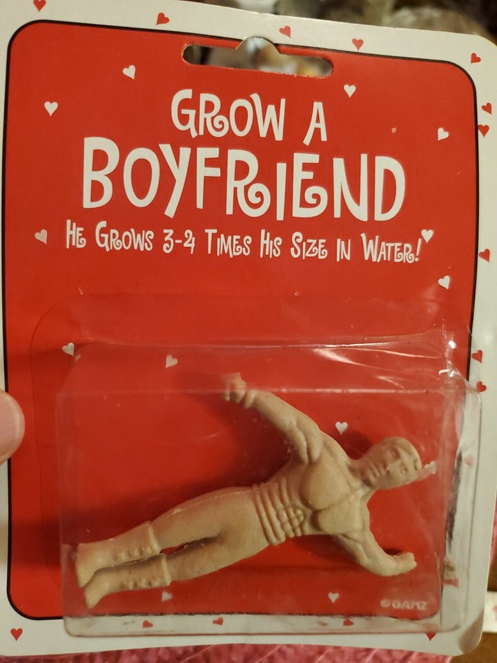 New Old Stock NIB Grow a Boyfriend great gag gift!! eBay