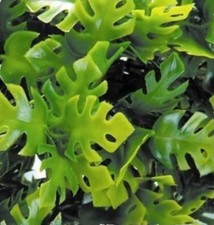 ZOO MED LARGE ARTIFICIAL HANGING PLANT- REPTILES/FISH- AMAZONIAN PHYLLO