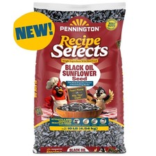 Dry Black Oil Sunflower Seeds Wild Bird Food Feed 10 lb Bag