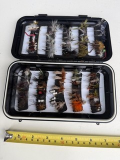 A large plastic fly box with many dry flies.