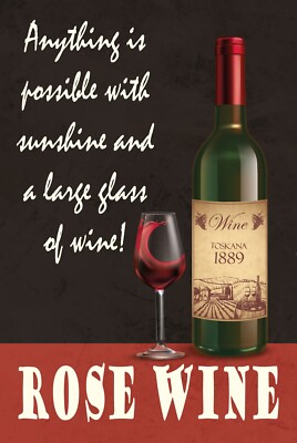 Blechschild 30x40 Anything is possible with sunshine and a glass wine Alles ist