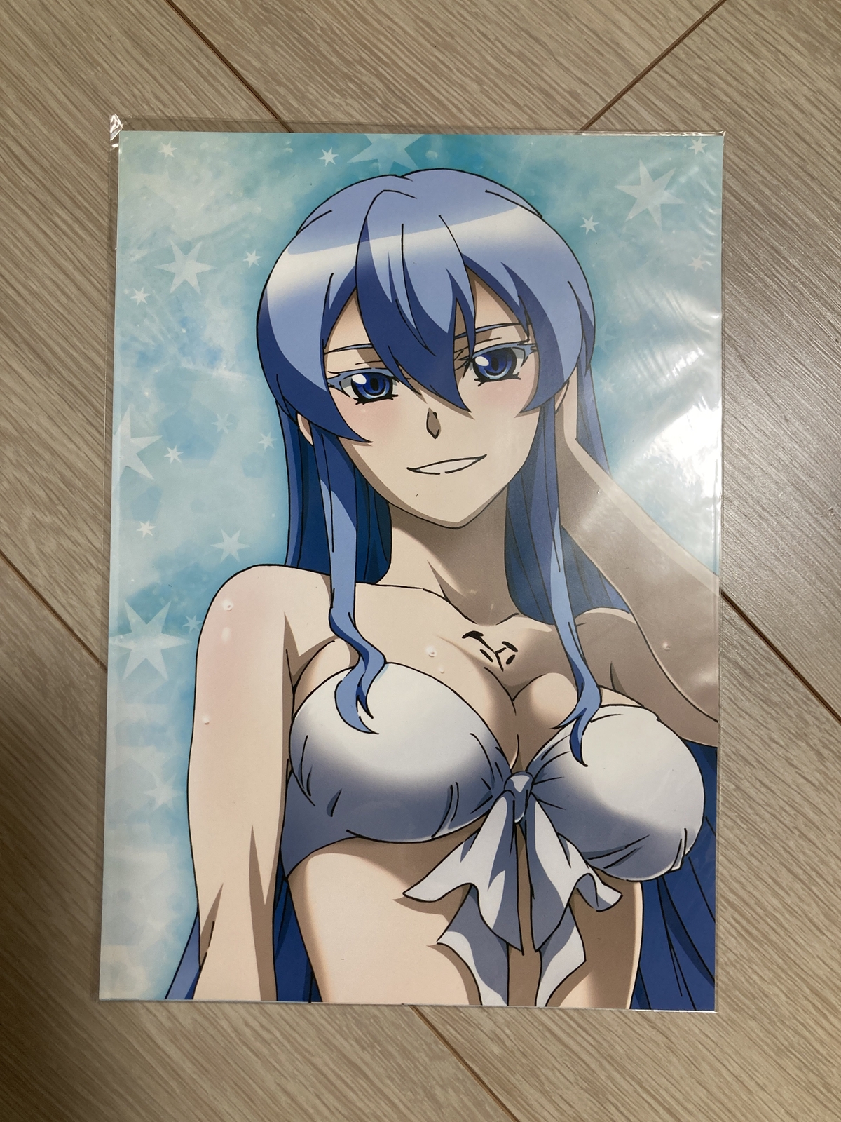 Akame ga Kill Esdeath Propaganda Poster