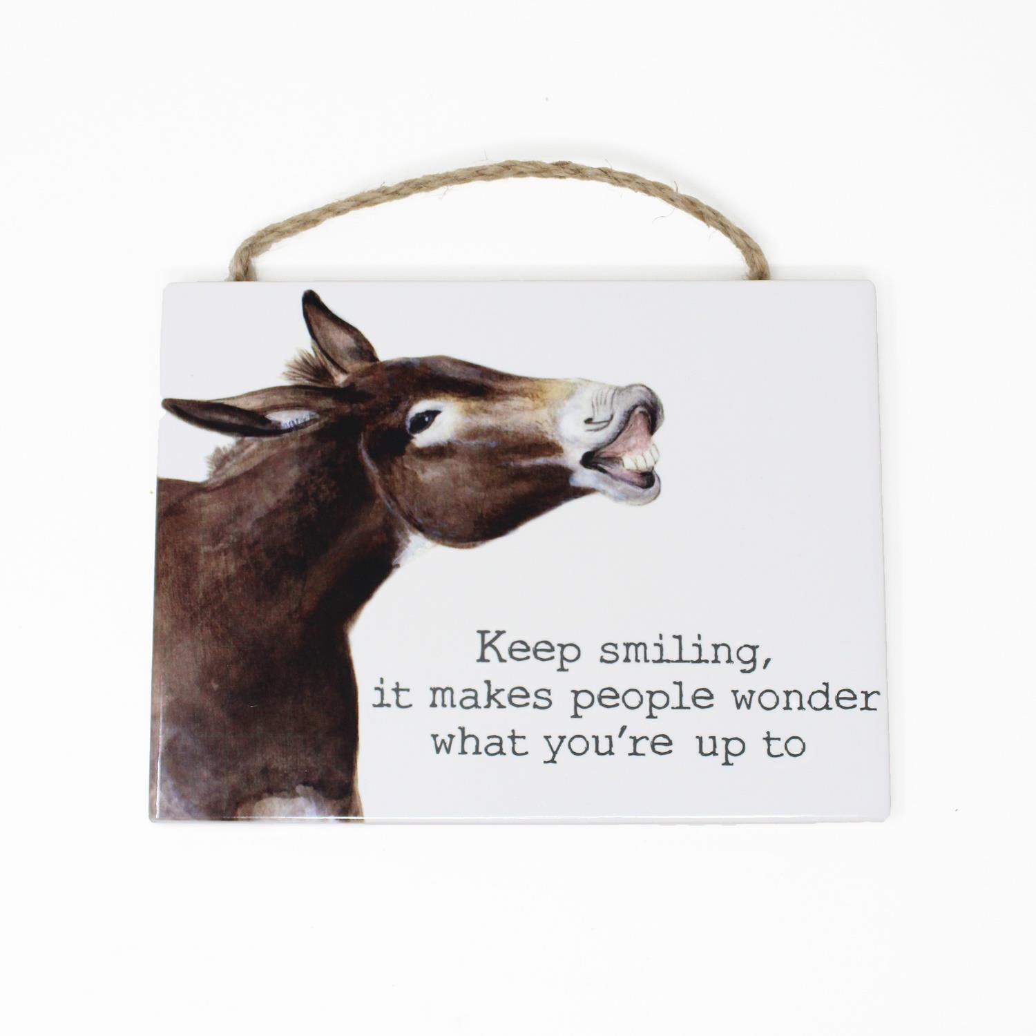 Keep Smiling Sign Ceramic Wall Hanging Funny Donkey Bar Home Quote Decor Plaque
