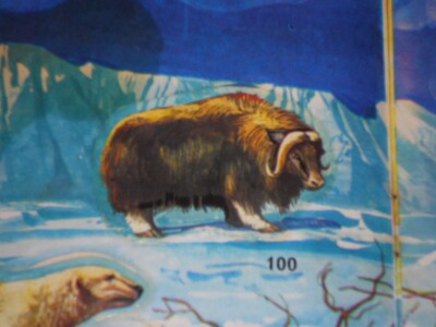 IMPERIA FIGURINES STICKER THE ZOO IN THE HOUSE RECOVERY - 100