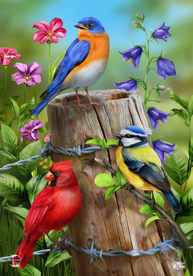 Cerca Poste Pájaros Casa de Primavera Bandera Cardinal Bluebird 28" x 40" Briarwood Lane Foto 2 de 4